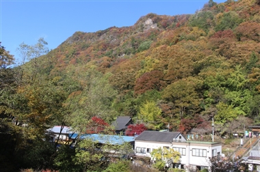 日本三名瀑,袋田の滝,紅葉