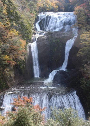 日本三名瀑,袋田の滝,紅葉