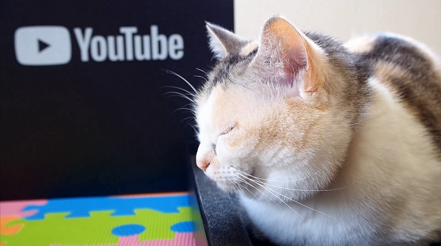 4/12 YouTubeから届いた銀の盾