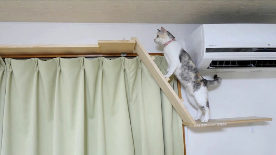 9/25 猫部屋手作りキャットウォークがついに完成！