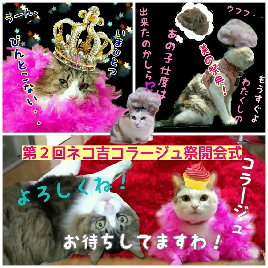 第2回ネコ吉コラージュ祭
