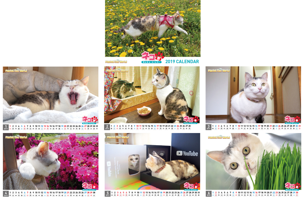 ネコ吉,ボス吉,カレンダー