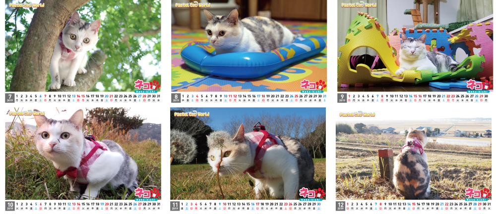 ネコ吉,ボス吉,カレンダー
