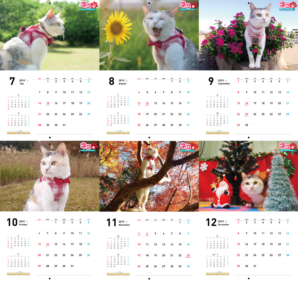 ネコ吉,ボス吉,カレンダー