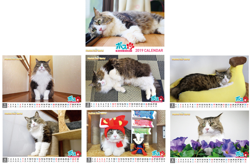 ネコ吉,ボス吉,カレンダー