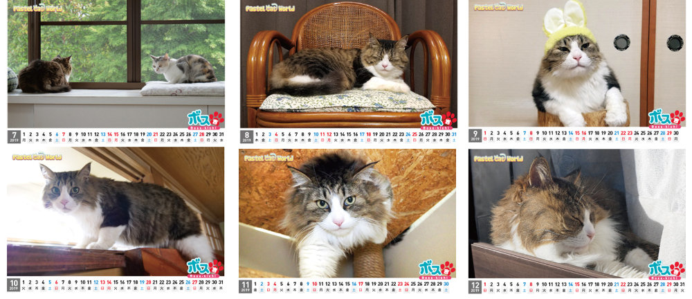 ネコ吉,ボス吉,カレンダー