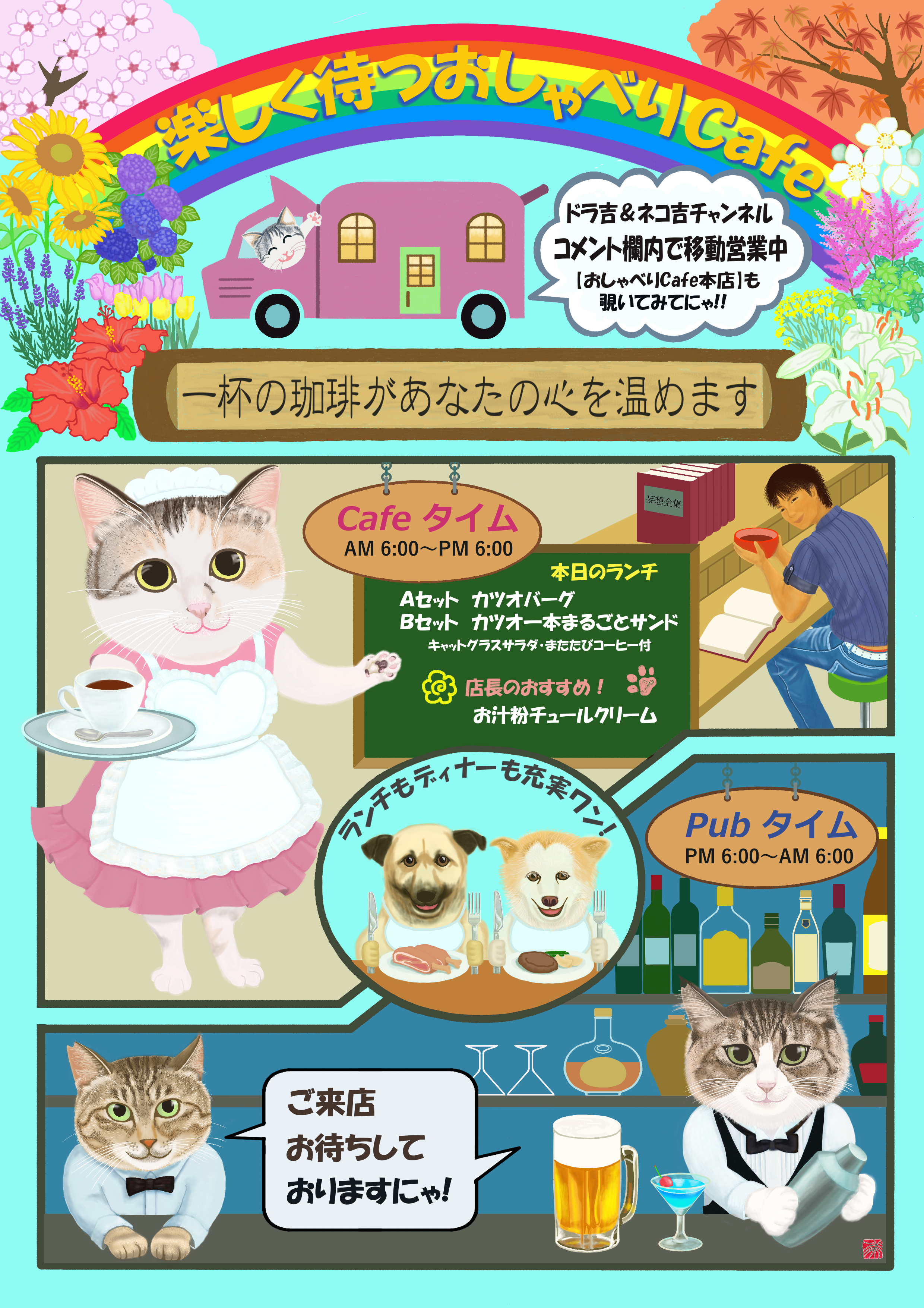 猫,誕生日,動画